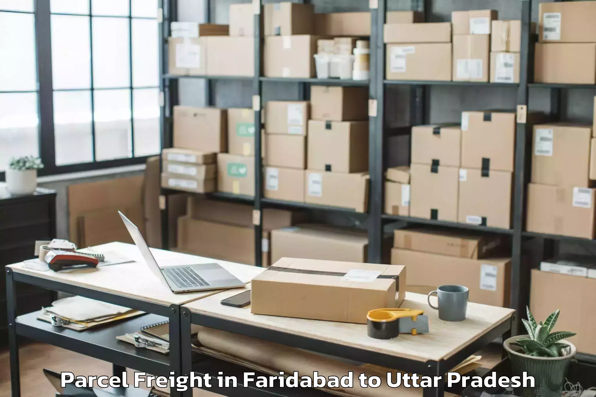 Book Faridabad to Chhibramau Parcel Freight